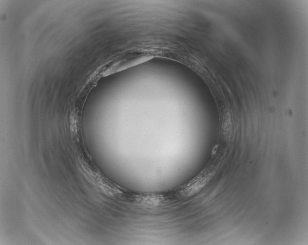 X0000053120282200508012159