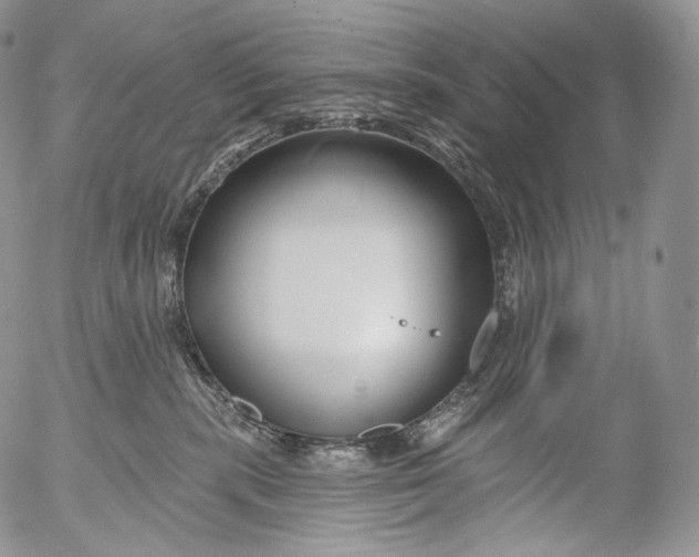 X0000053120283200508012159