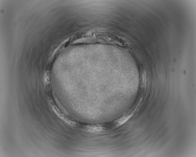 X0000053120284200508012159