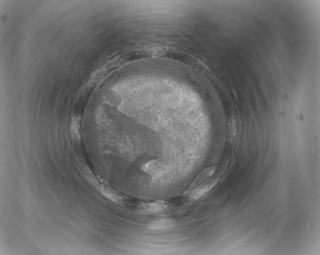 X0000053120286200508012159