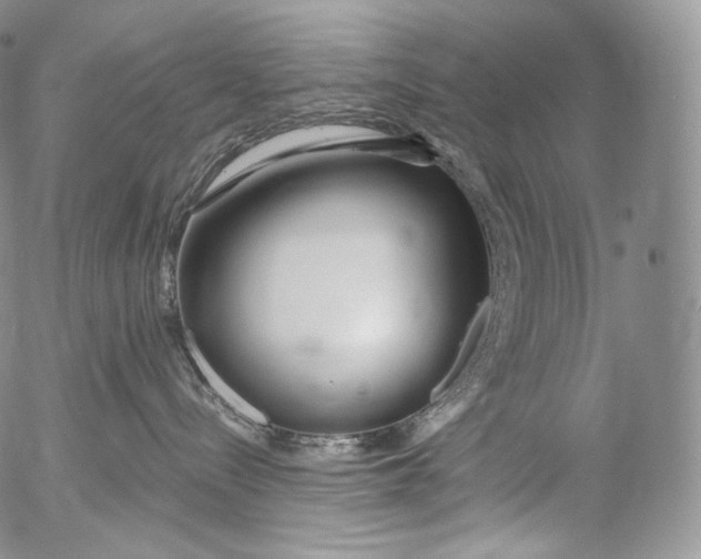 X0000053120288200508012159