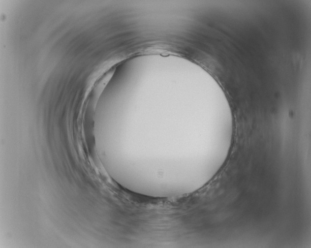 X0000053120289200508012159