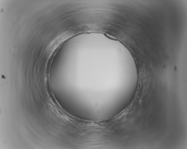 X0000053120290200508012159