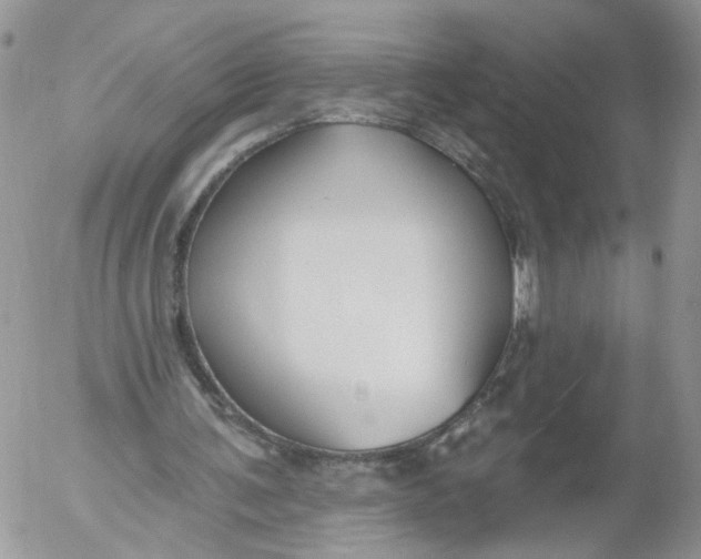 X0000053120291200508012159