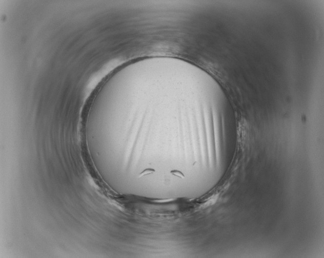 X0000053120292200508012159