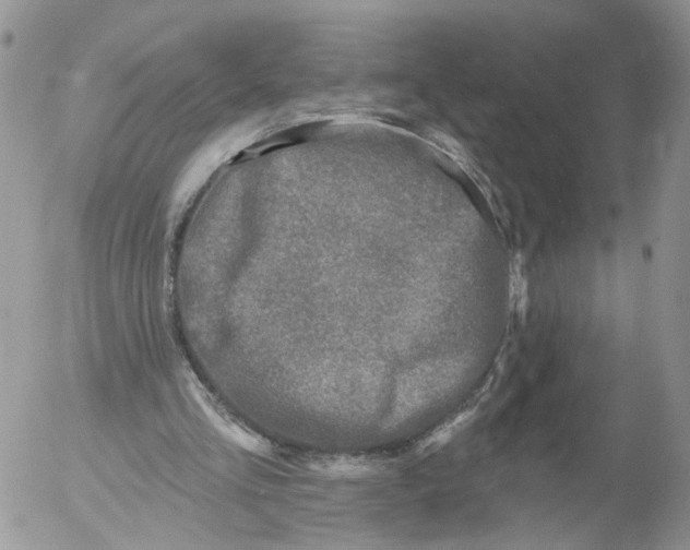 X0000053120293200508012159