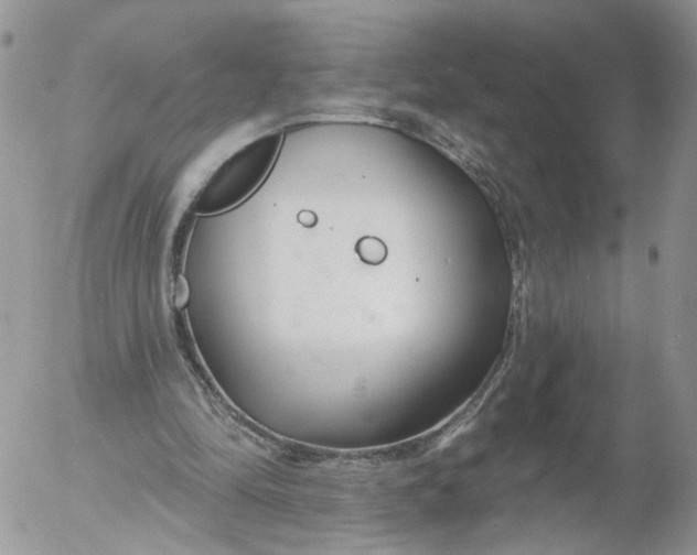 X0000053120294200508012158