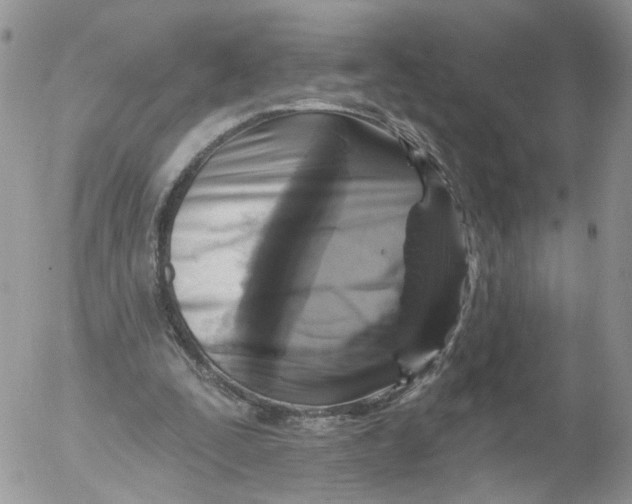 X0000053120295200508012158