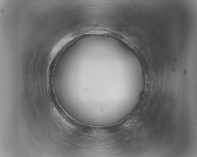 X0000053120296200508012158