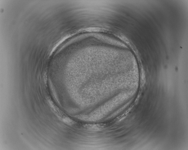 X0000053120297200508012158