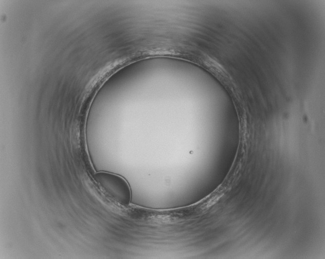 X0000053120298200508012158