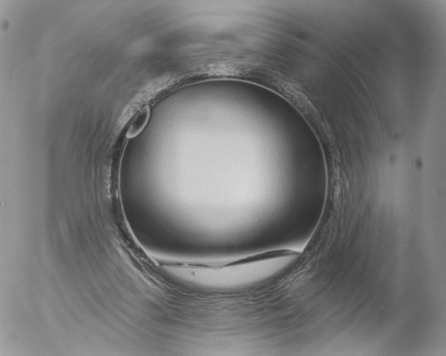 X0000053120299200508012158