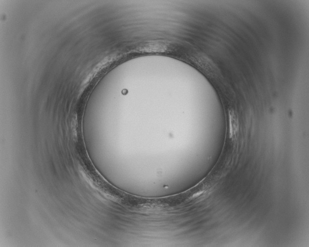 X0000053120300200508012158