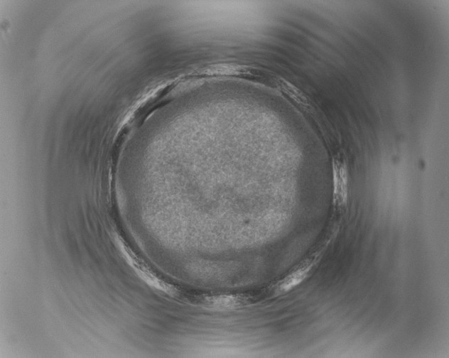 X0000053120301200508012158