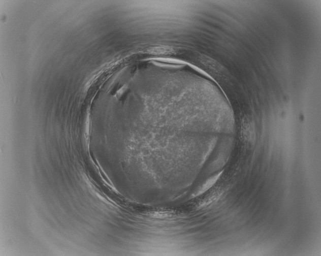 X0000053120303200508012158