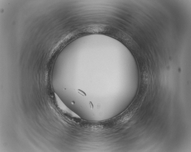 X0000053120304200508012158