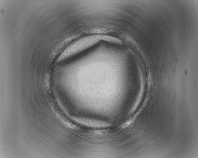 X0000053120305200508012158