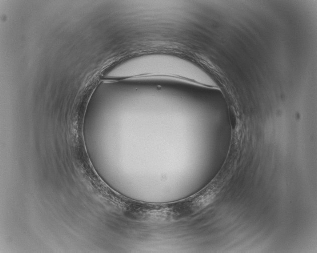 X0000053120306200508012158