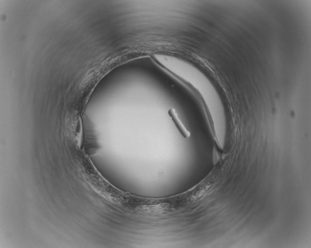 X0000053120307200508012158