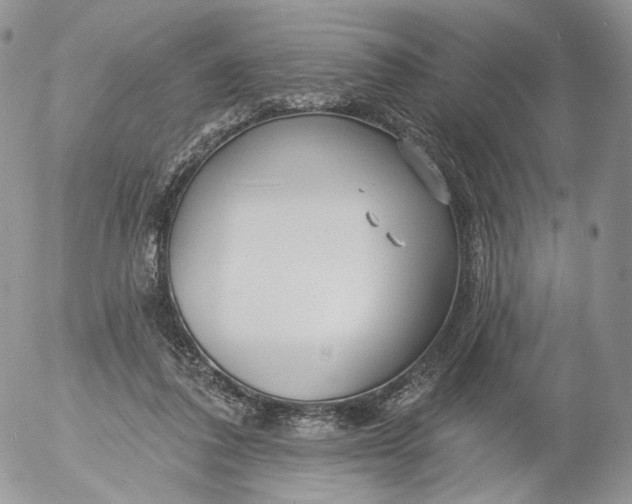 X0000053120308200508012158