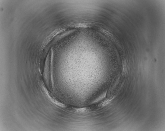 X0000053120309200508012158