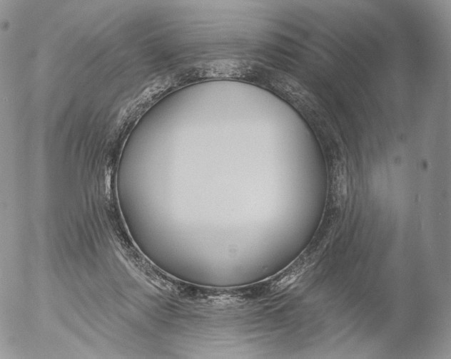 X0000053120310200508012158