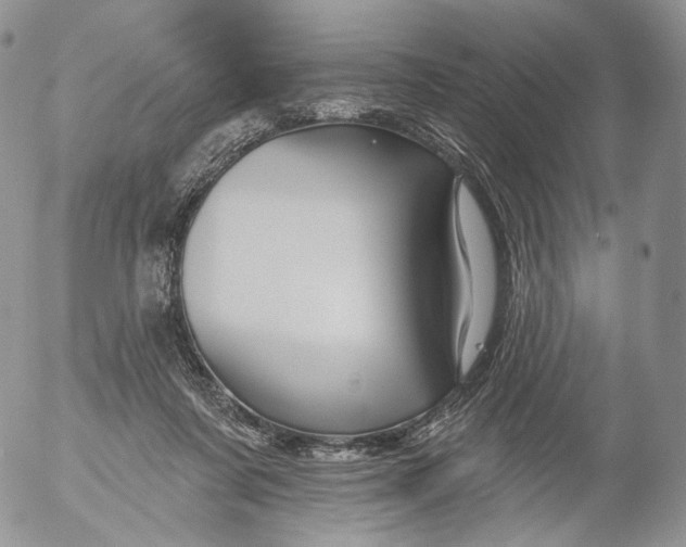 X0000053120311200508012158