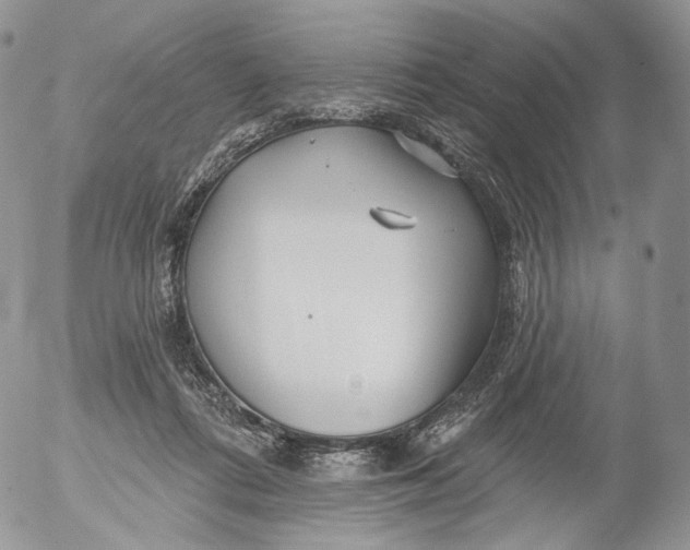 X0000053120312200508012158