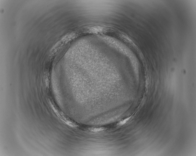 X0000053120313200508012158