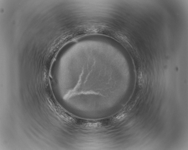 X0000053120314200508012158