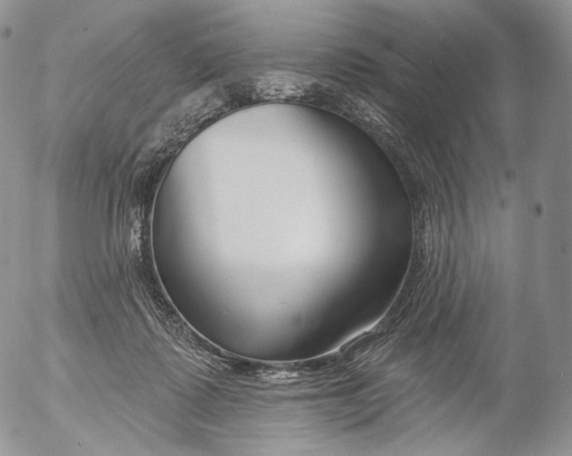 X0000053120315200508012158