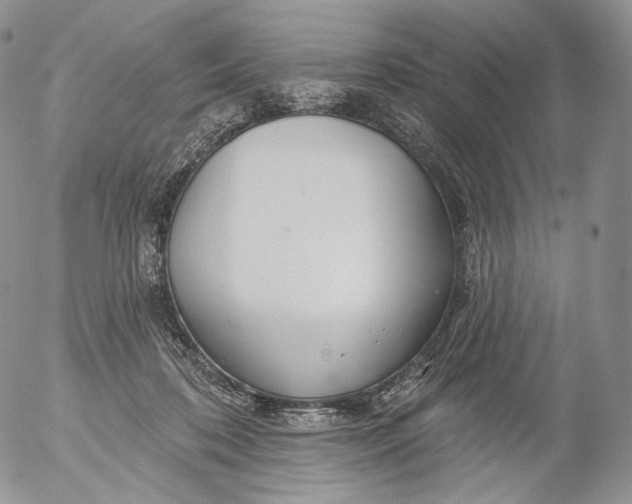 X0000053120316200508012158