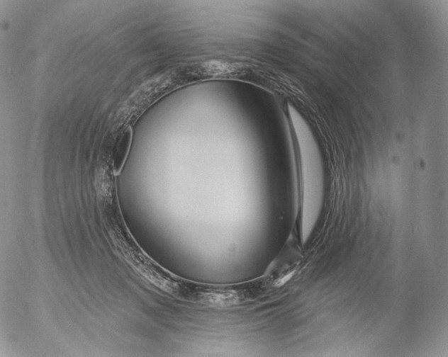 X0000053120317200508012158