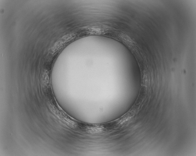 X0000053120318200508012158