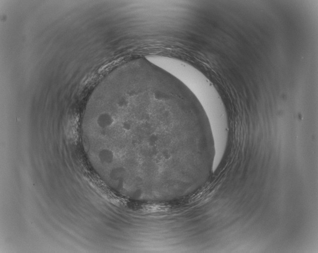 X0000053120319200508012158