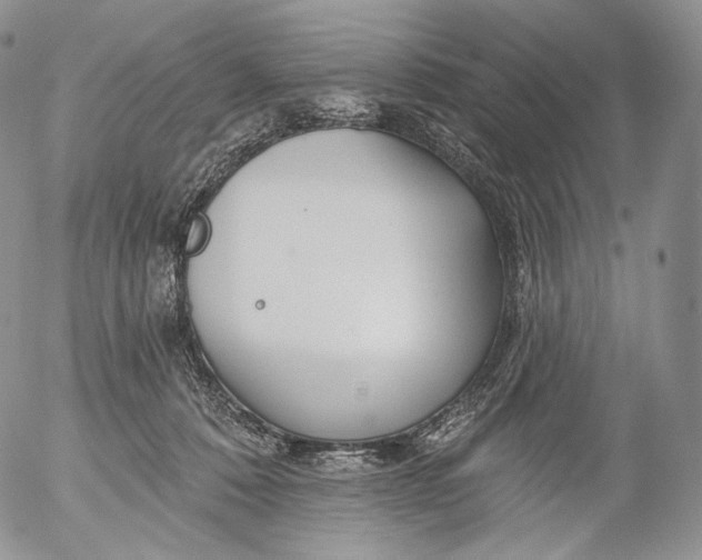 X0000053120320200508012158