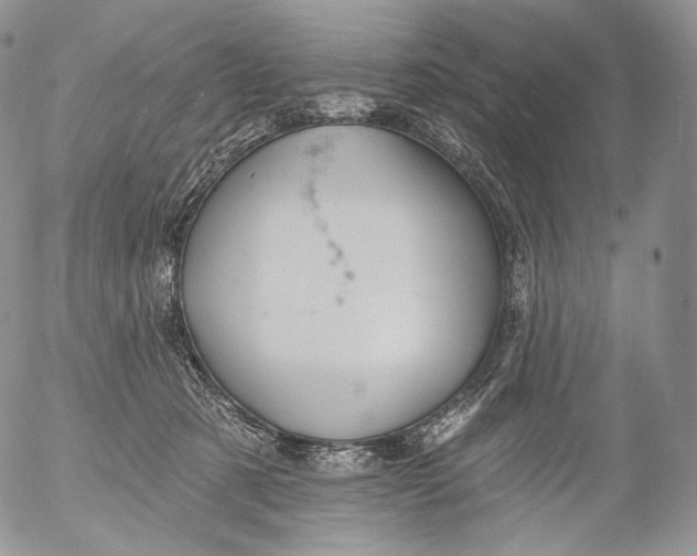 X0000053120321200508012158