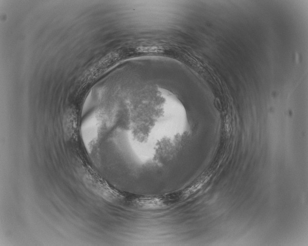 X0000053120322200508012158