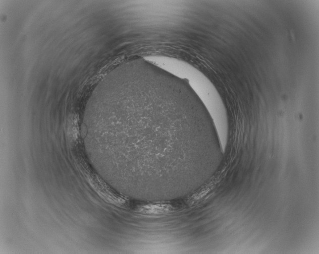 X0000053120323200508012158