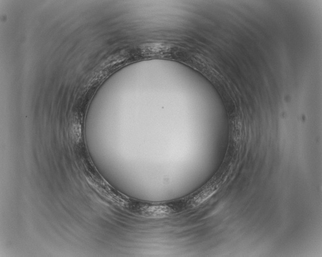 X0000053120324200508012158