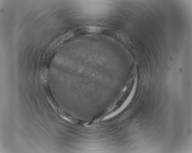 X0000053120325200508012158