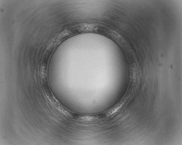 X0000053120326200508012158