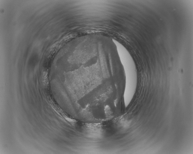 X0000053120327200508012158