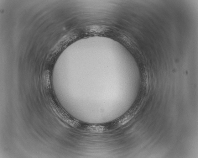 X0000053120328200508012158