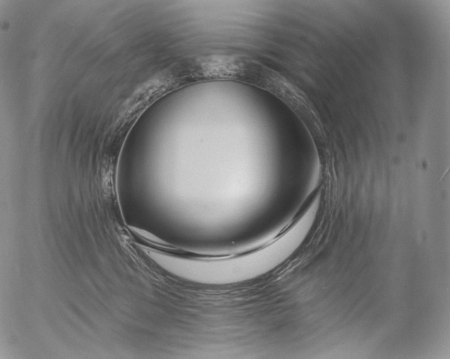 X0000053120329200508012158