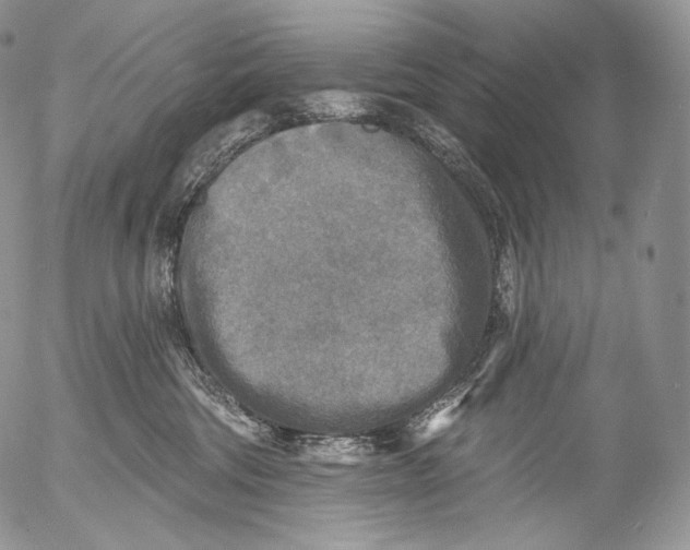 X0000053120330200508012158