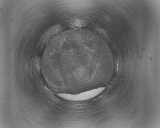 X0000053120331200508012158