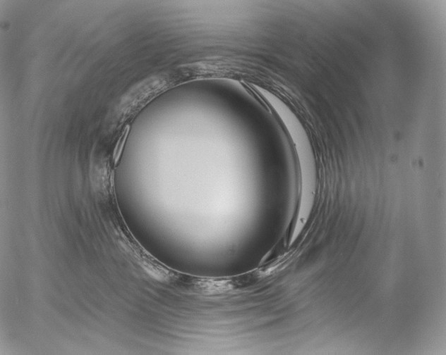 X0000053120333200508012158