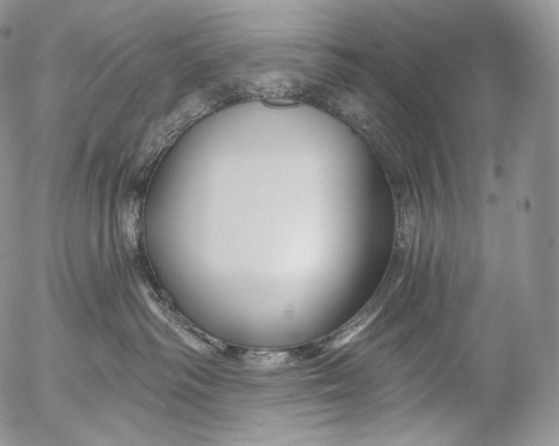 X0000053120334200508012158