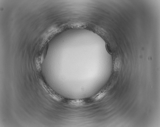 X0000053120335200508012158